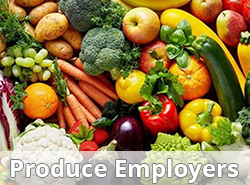 Look who is hiring, produce jobs amd farm jobs