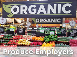 Look who is hiring, produce jobs amd farm jobs