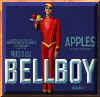 bellboy