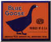 bluegoose