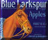 bluelarkspur