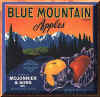 bluemountain