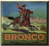 bronco