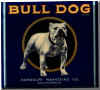 bulldog