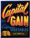 capitol_gain