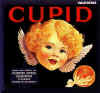 cupid