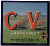 cv