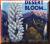 desert