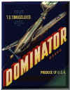 dominator