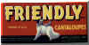 friendly