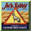 jackrabbit