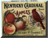 kentucky-cardinal