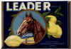 leader