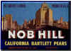 nobhill