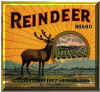 reindeer