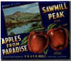 sawmill-peak