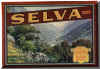 selva