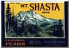 shasta