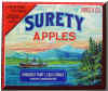 surety