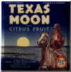 texas-moon