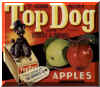 topdog